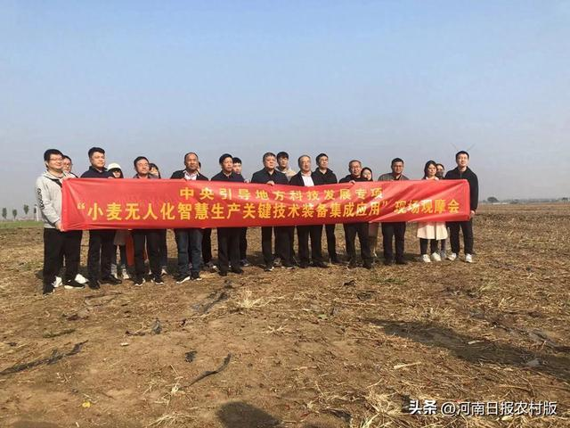 图片13.png