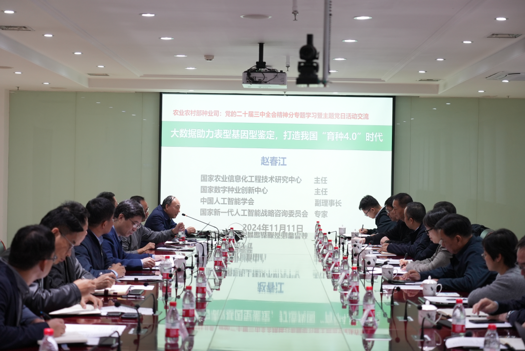 1731400543952.png 1731400543952.png