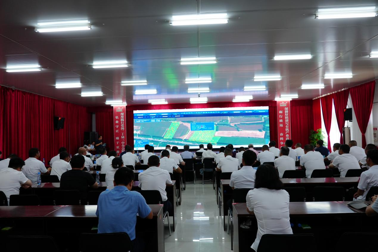 图片 4.png